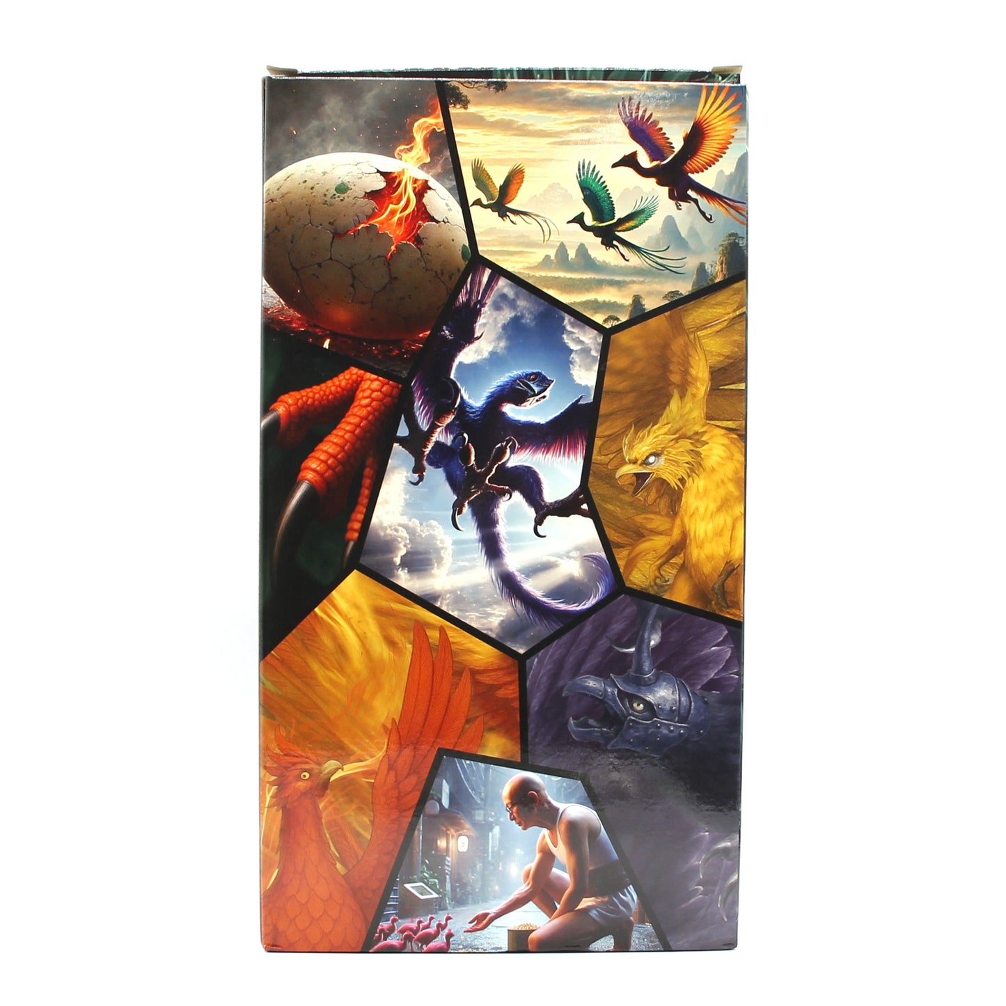 新政酒造 2025年度 特別頒布会 最強 陽乃鳥図鑑 緋乃鳥 玄乃鳥 2024 貴醸酒 日本酒 12％ 500ml 2本 箱付き ※ラベル難有（2025年6月出荷）