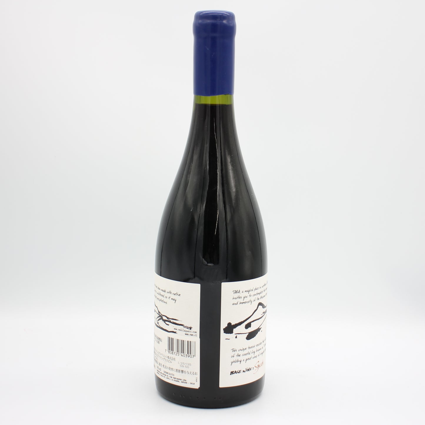 タラ アタカマ シラー 2020 Red Wine2 赤ワイン 14% 750ml 箱無し (TARA Atacama Syrah 2020)