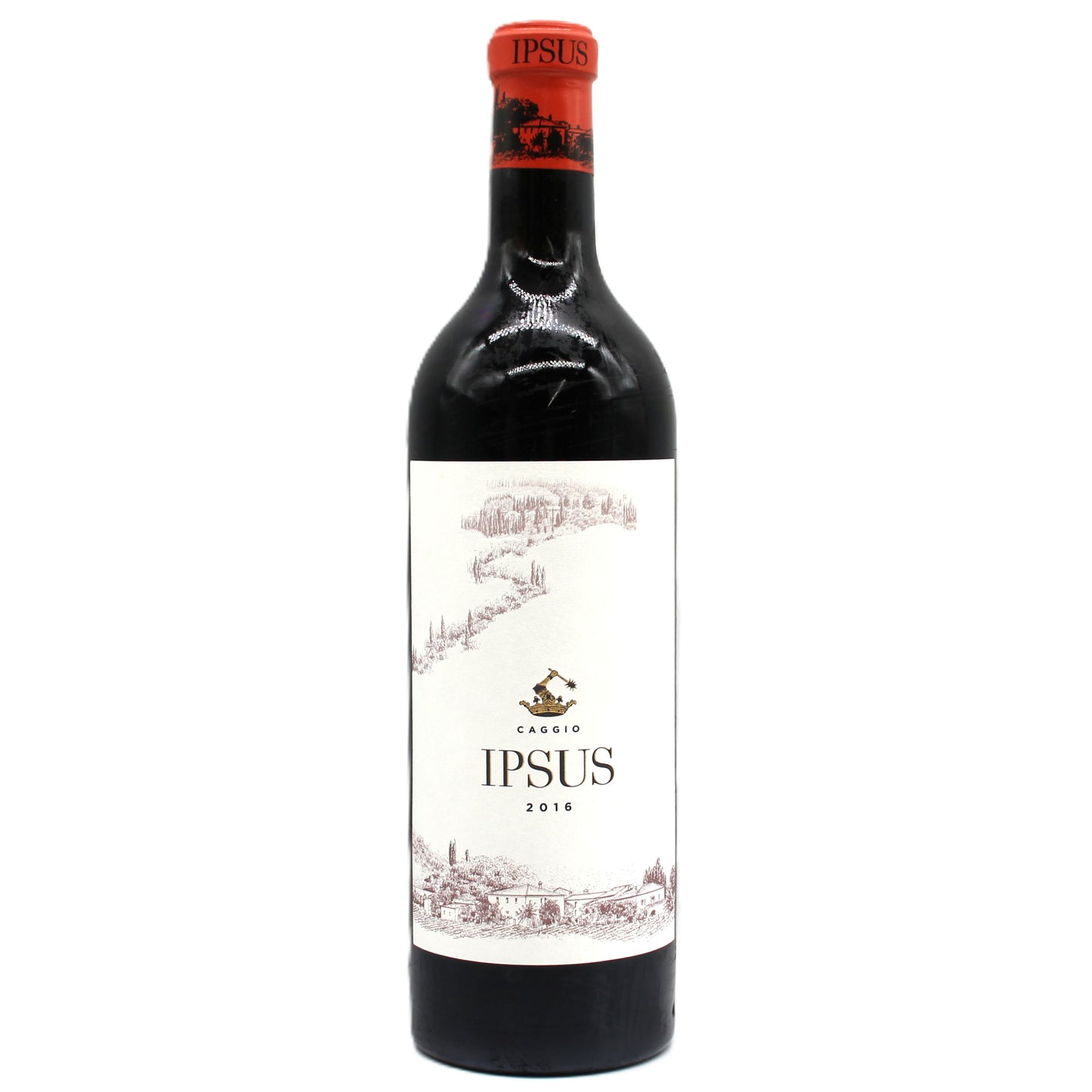 イル・カッジョ イプスス・キャンティ・クラシコ・グラン・セレツィオーネ 2016 赤ワイン 13.5% 750ml 箱無し ( Il Caggio Ipsus Chianti Classico Gran Selezione 2016 )