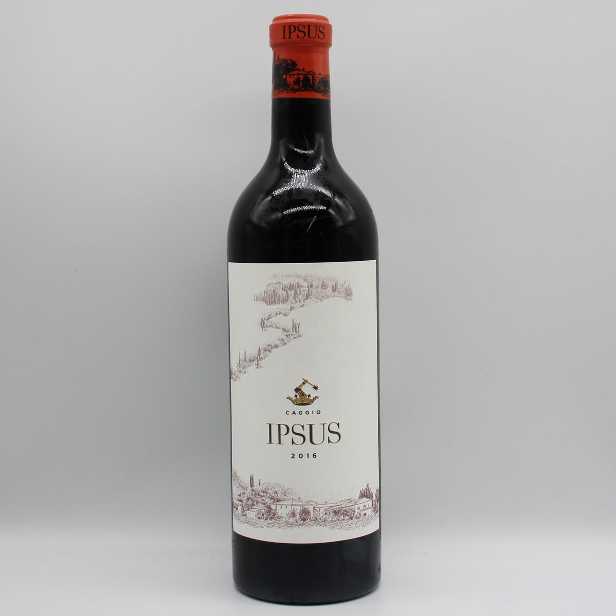 イル・カッジョ イプスス・キャンティ・クラシコ・グラン・セレツィオーネ 2016 赤ワイン 13.5% 750ml 箱無し ( Il Caggio Ipsus Chianti Classico Gran Selezione 2016 )