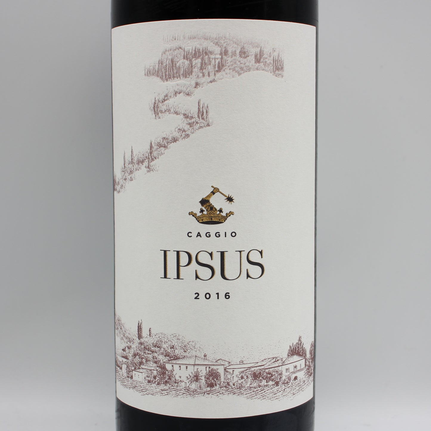 イル・カッジョ イプスス・キャンティ・クラシコ・グラン・セレツィオーネ 2016 赤ワイン 13.5% 750ml 箱無し ( Il Caggio Ipsus Chianti Classico Gran Selezione 2016 )