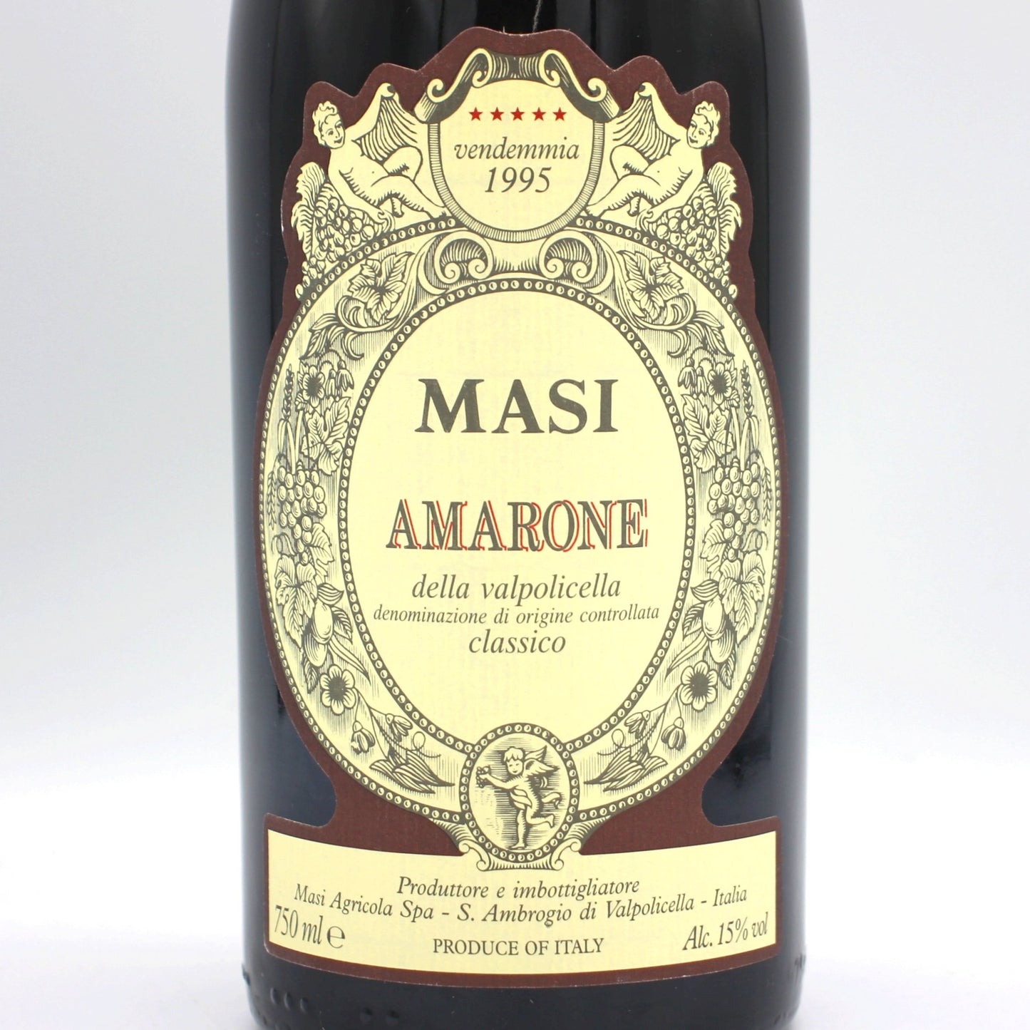 マァジ アマローネ デッラ ヴァルポリチェッラ クラッシコ 1995 赤ワイン 15% 750ml 箱無し (MASI AMARONE DELLA VALPOLICELLA 1995)
