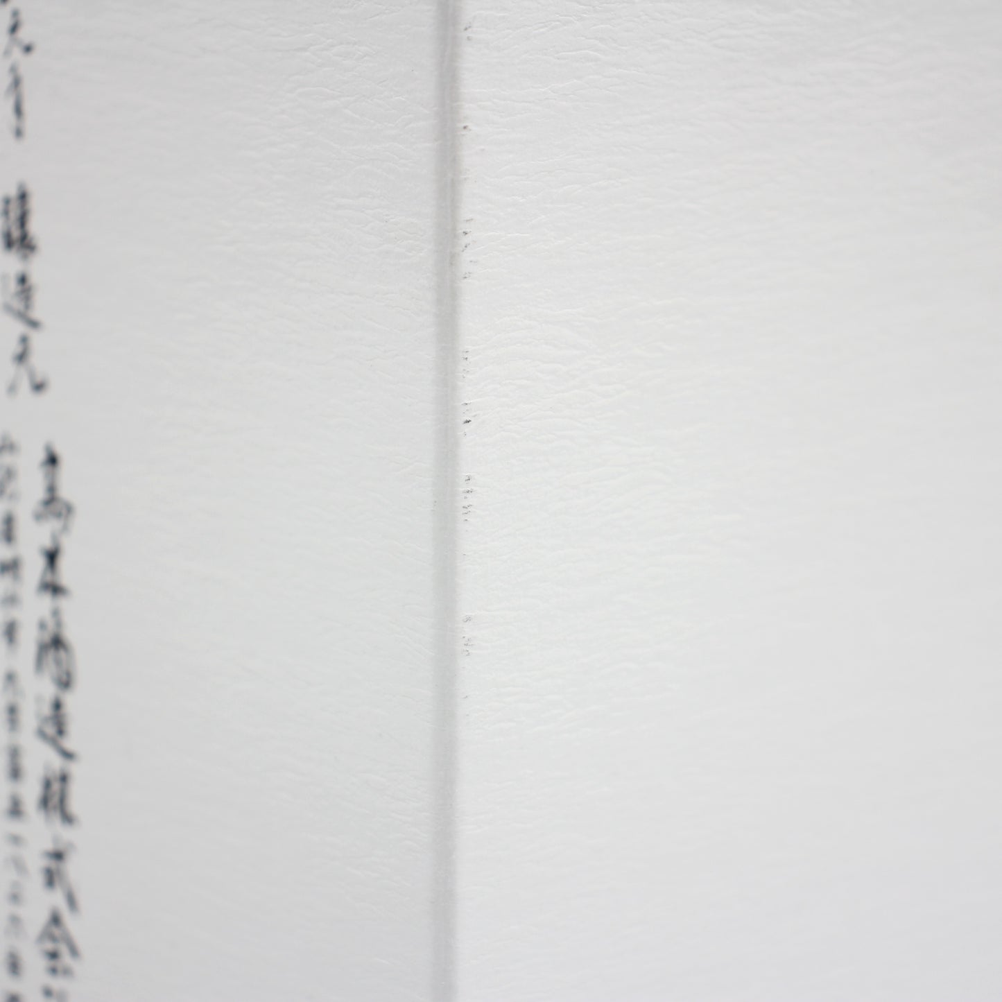 高木酒造 十四代 龍泉 隼 斗瓶囲い 氷温熟成 大極上諸白酒 揚げふね 七垂二十貫 純米大吟醸おり酒 日本酒 生詰 15％ 720ml 箱付き（2025年製造）