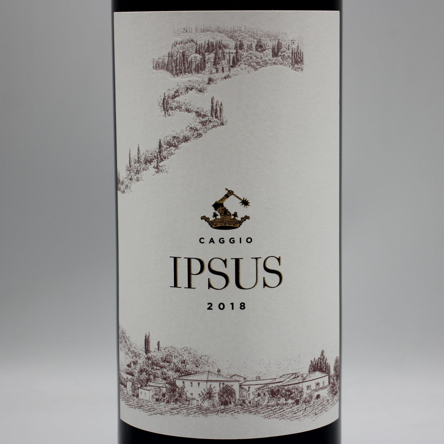 イル・カッジョ イプスス・キャンティ・クラシコ・グラン・セレツィオーネ 2018  赤ワイン 14% 750ml 箱無し （Il CAGGIO IPSUS CHIANTI CLASSICO GRAN SELEZIONE 2018）