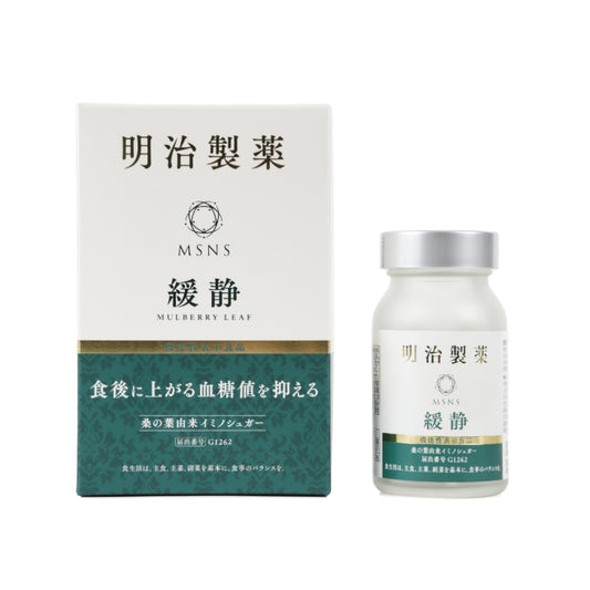 明治製薬 緩静 30日分 90粒