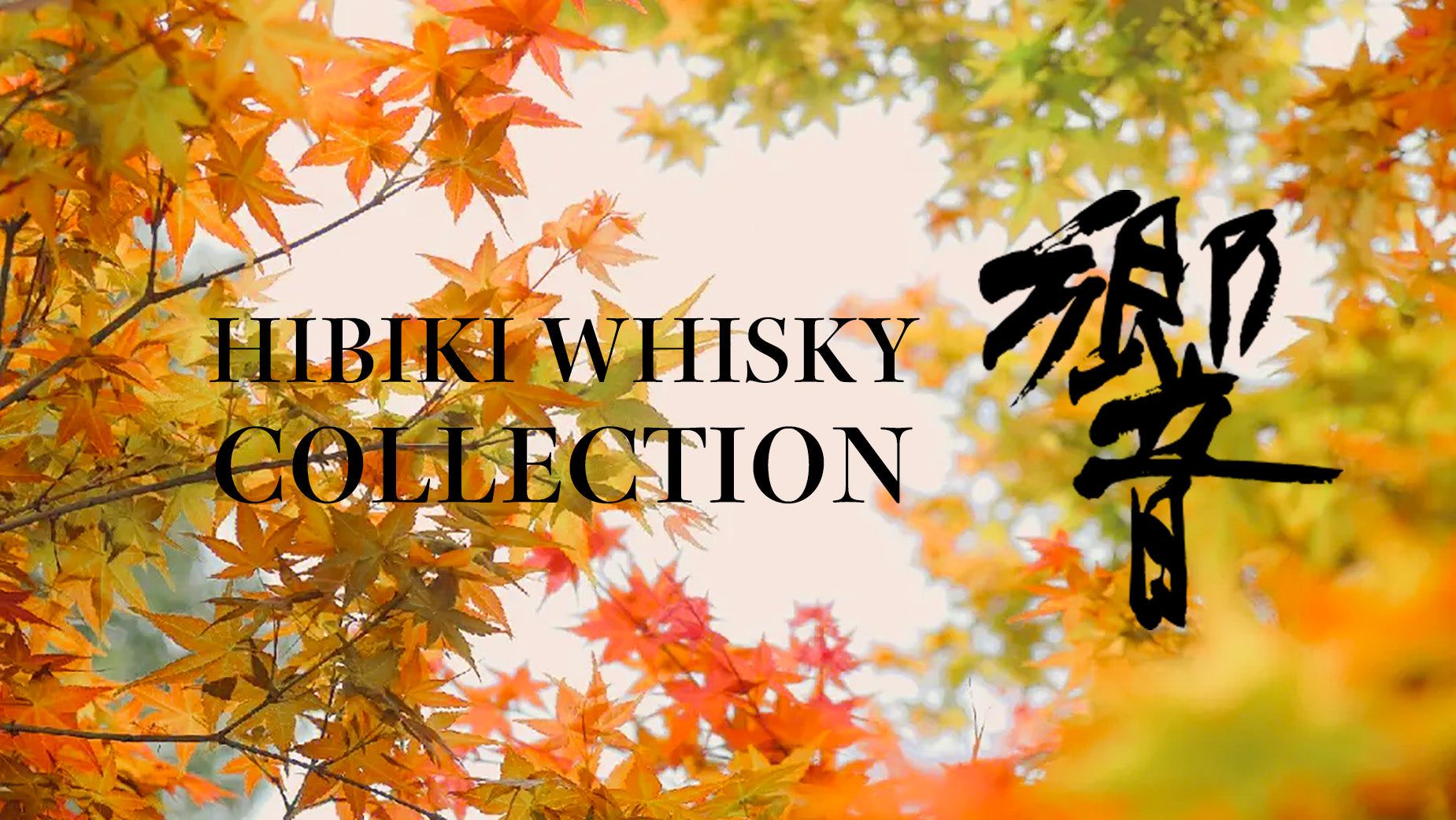 Saketown | 酒タウン